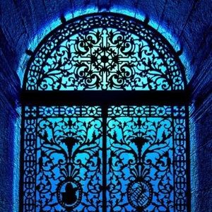 Meet your Posher, Wynter Skies